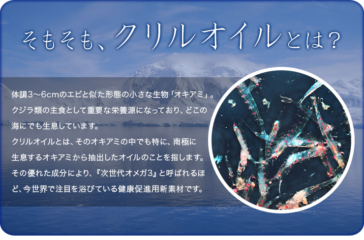 クリルオイル流(Krill Oil RYU)