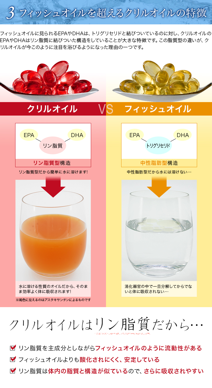 クリルオイル流(Krill Oil RYU)
