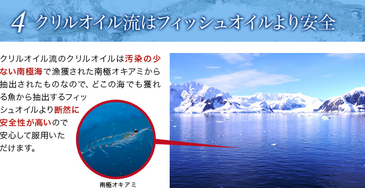 クリルオイル流(Krill Oil RYU)