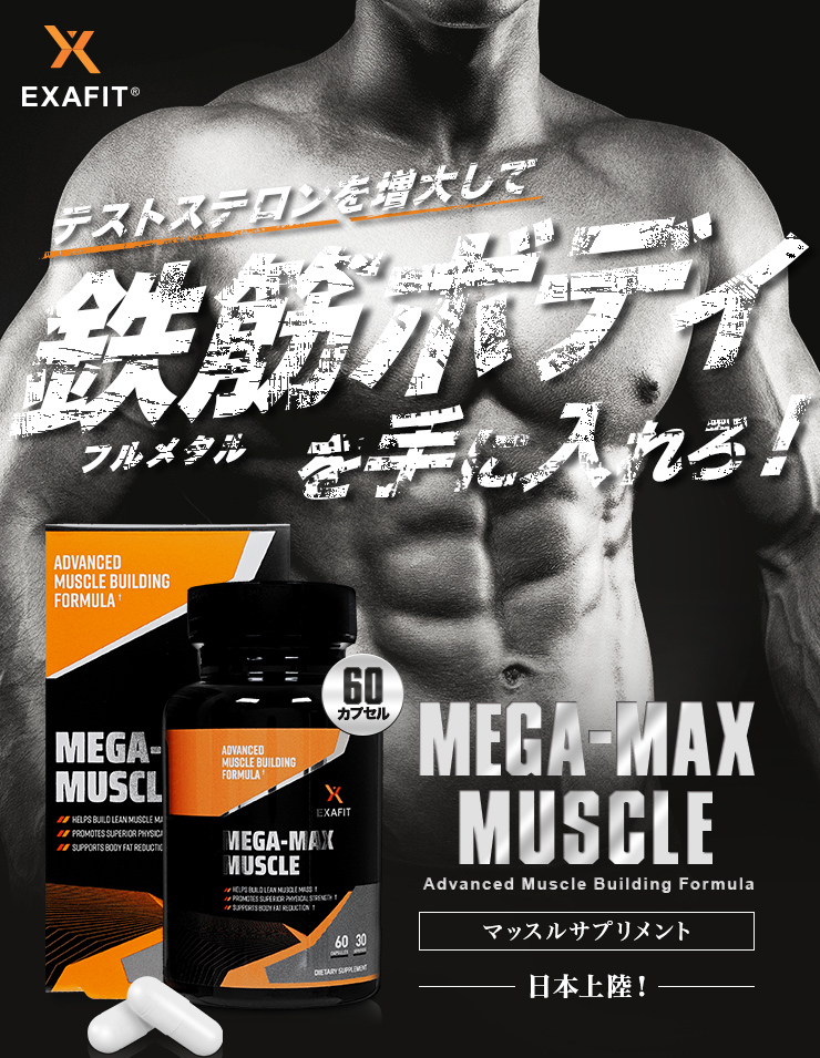 (EXAFIT)メガマックスマッスル