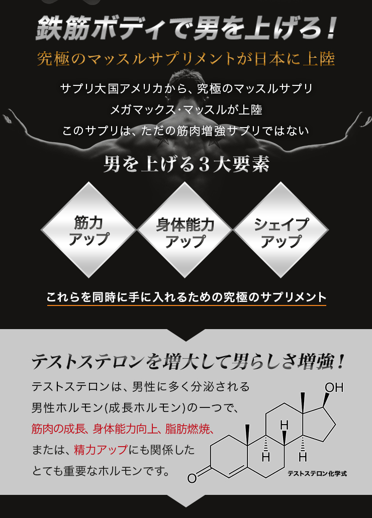 (EXAFIT)メガマックスマッスル