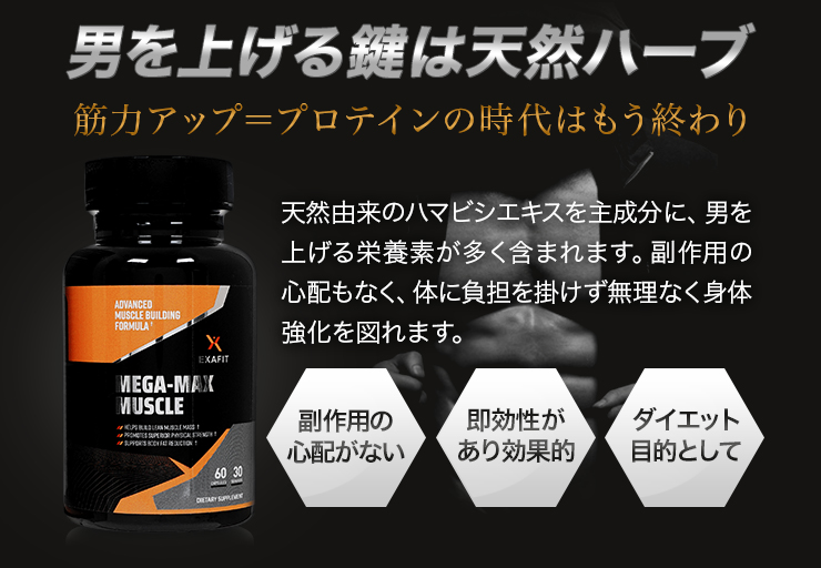 (EXAFIT)メガマックスマッスル