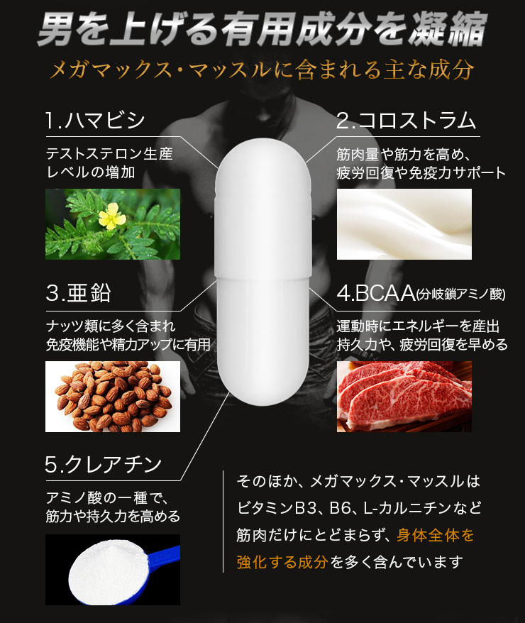 (EXAFIT)メガマックスマッスル