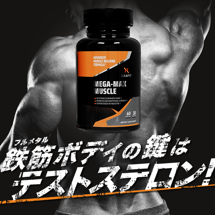 (EXAFIT)メガマックスマッスル