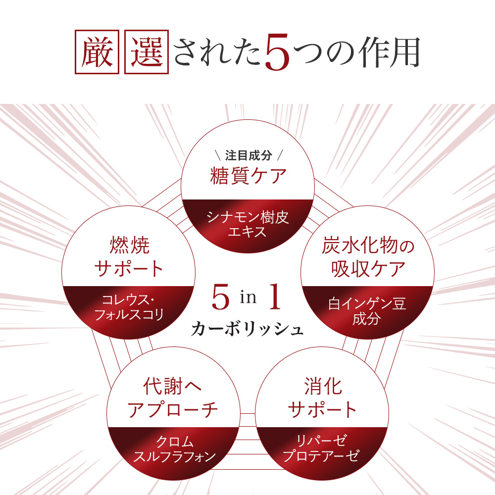 5つの作用：糖質ケア、炭水化物吸収ケア、燃焼サポート、代謝へアプローチ、消化サポート