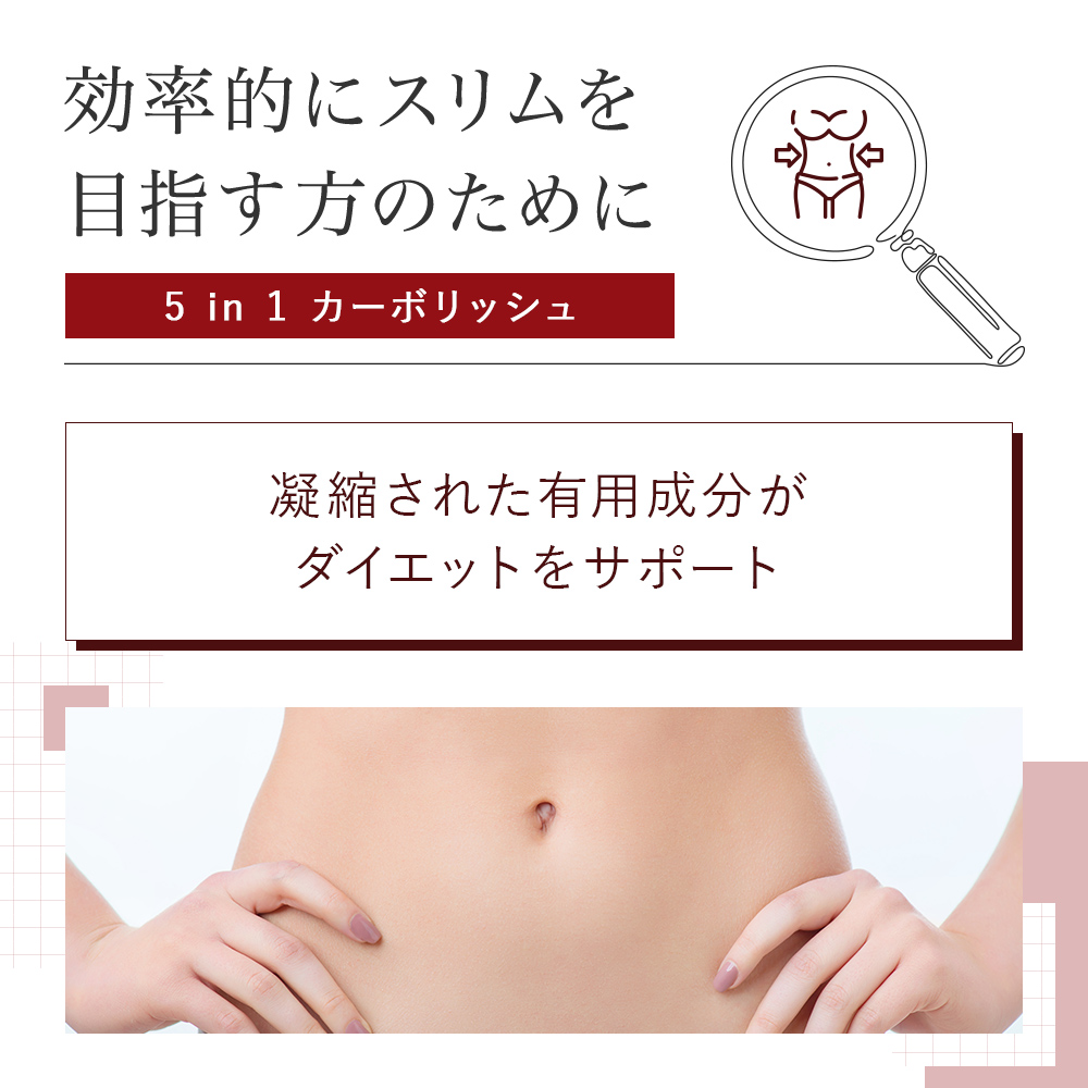 効果的にすりを目指す方のために5in1カーボリッシュ