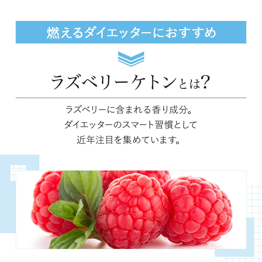 [VitalMe]バイタルミー ラズベリーケトン500mg